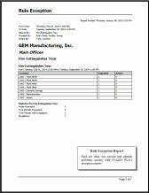 Rule-Exception-Report-thumb