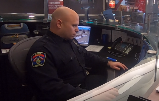 Create reports in seconds.